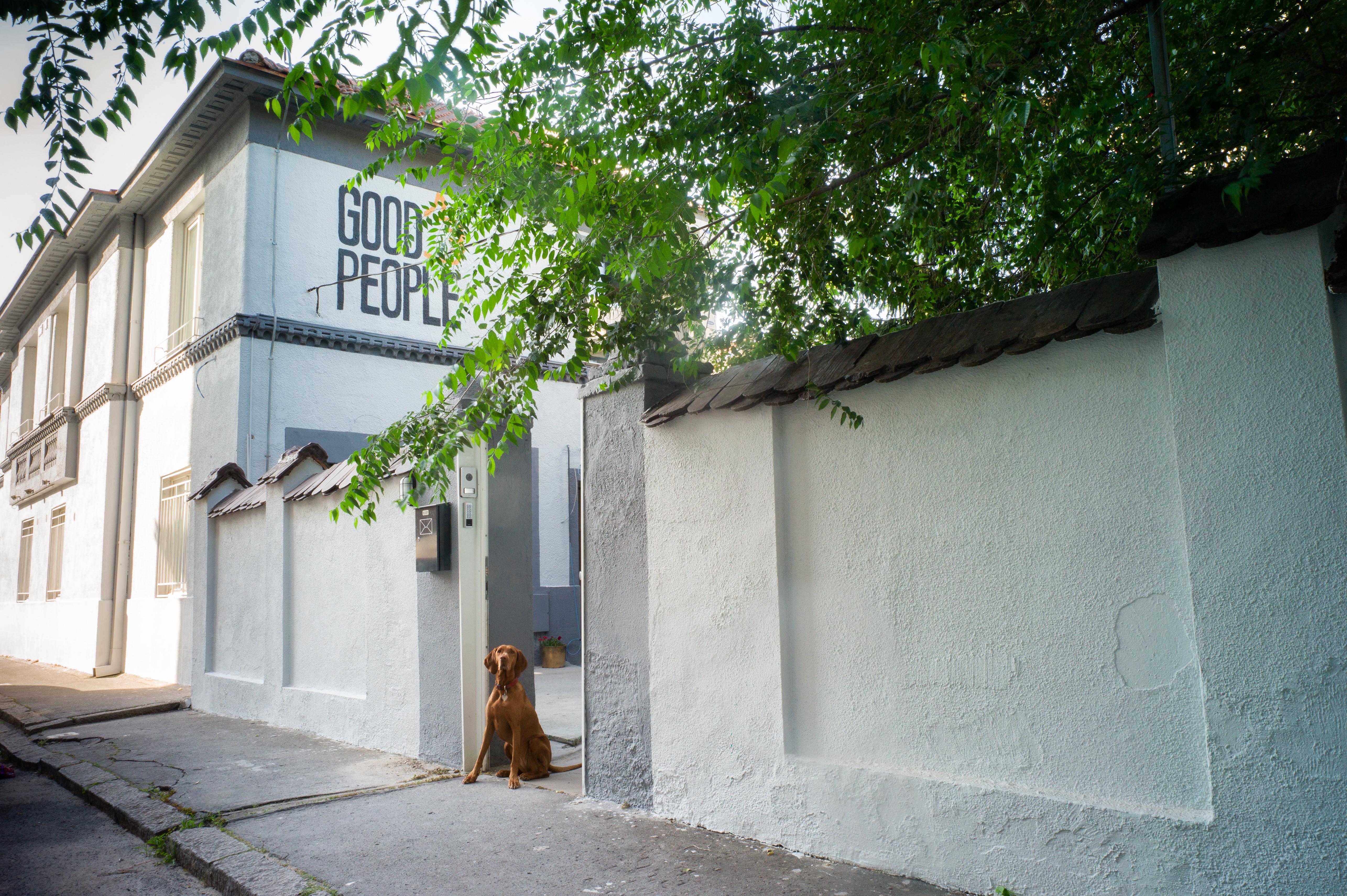 Good People Design Hostel Beograd Ngoại thất bức ảnh